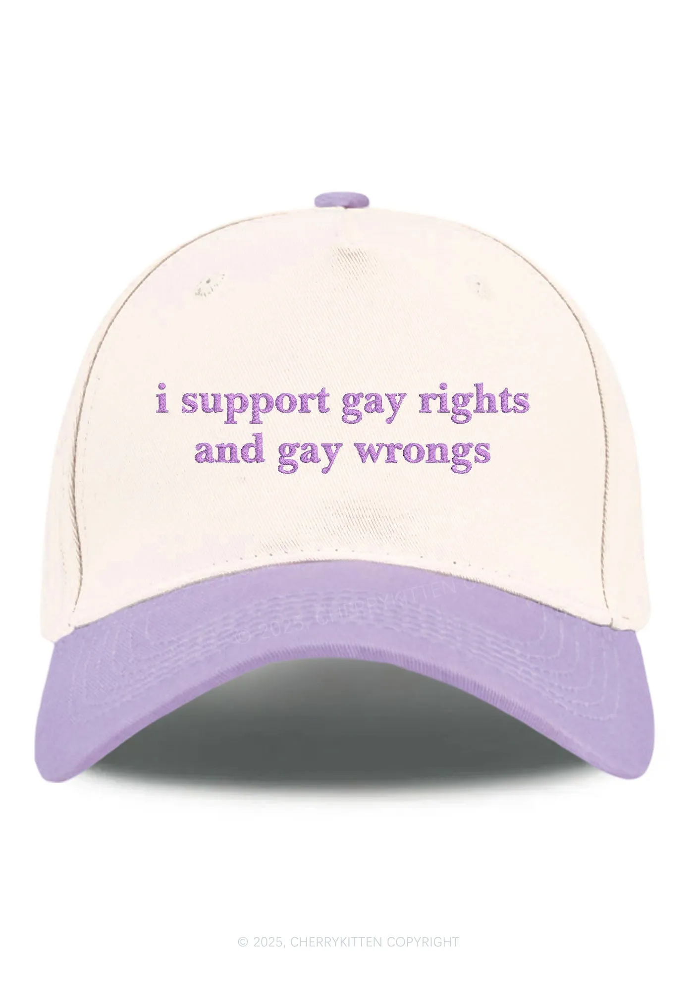 Embroidered Support Gay Rights Pride Y2K Color Block Baseball Cap Cherrykitten