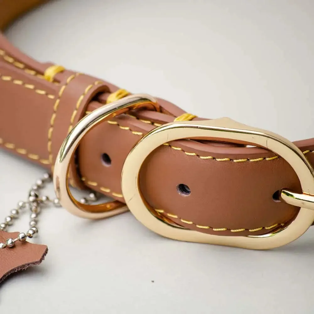 Lederhalsband für Hunde "Summer" - BRAUN