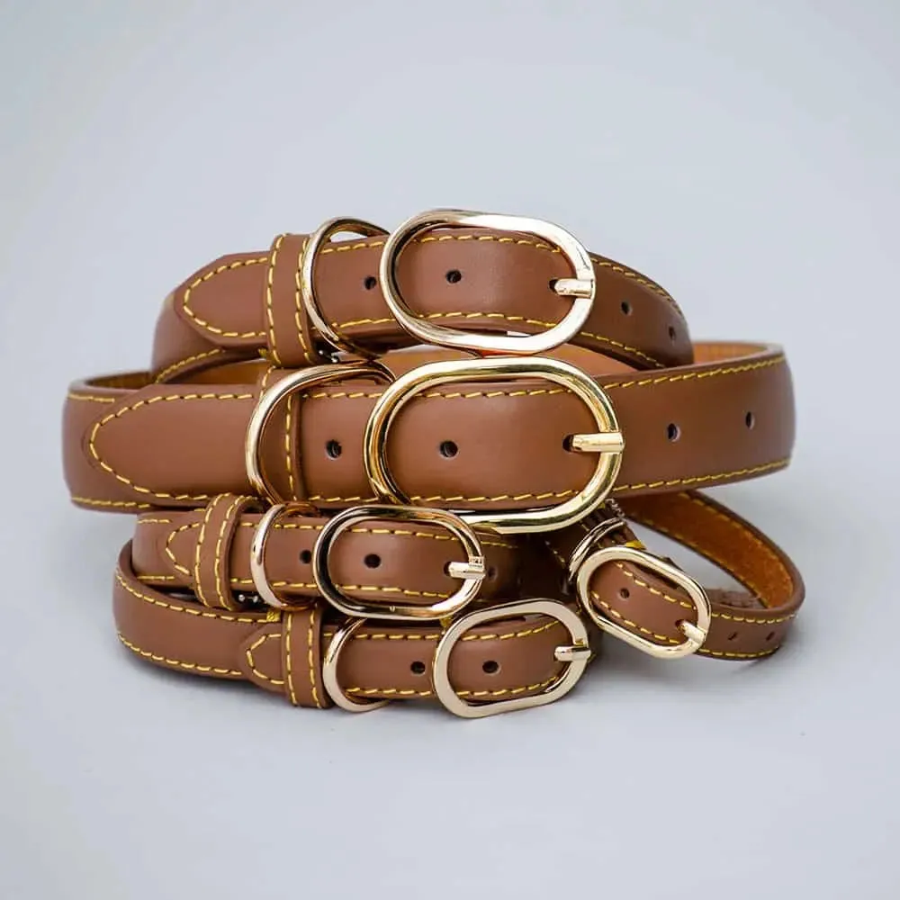 Lederhalsband für Hunde "Summer" - BRAUN