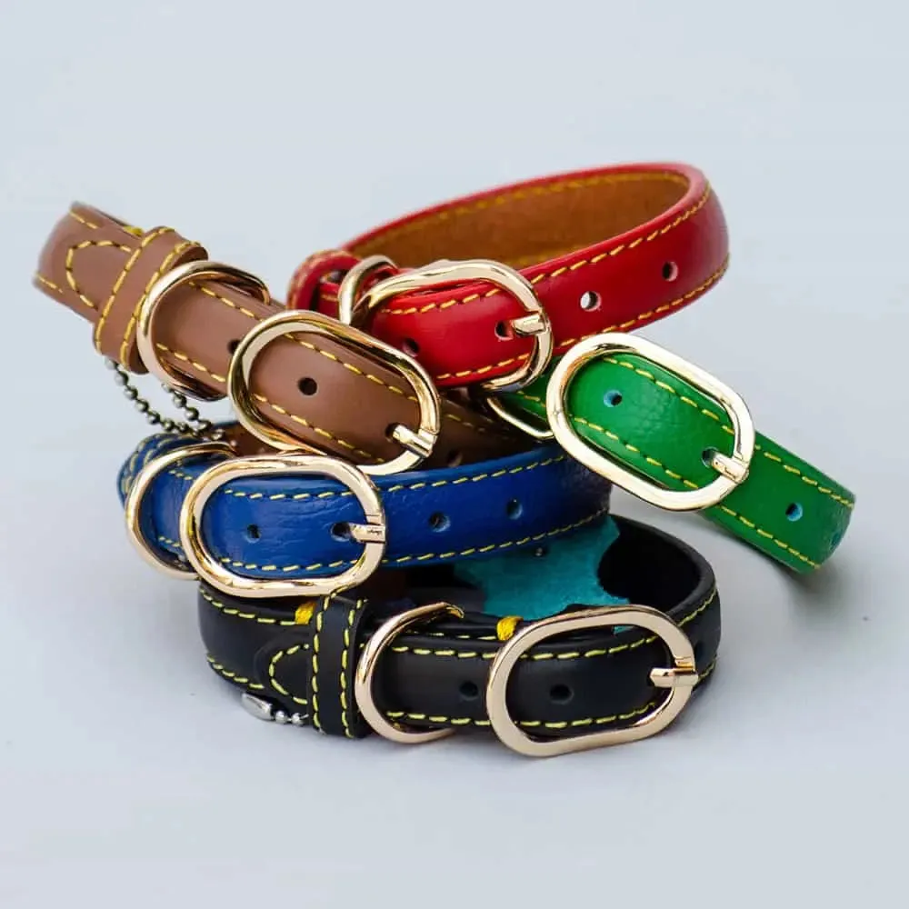 Lederhalsband für Hunde "Summer" - BRAUN