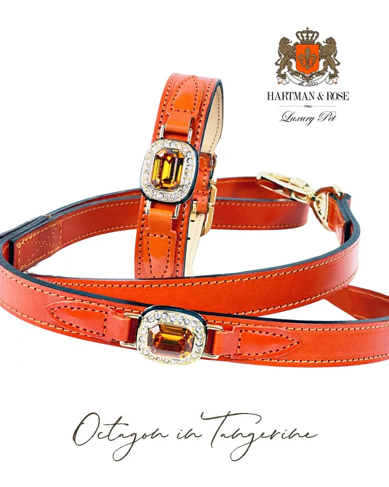 Octagon Dog Collar in Tangerine, Topaz Crystal & Gold